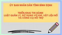 Tổ chức tuyên truyền, phổ biến, giáo dục pháp luật về công tác quản lý, sử dụng vũ khí, vật liệu nổ, công cụ hỗ trợ